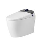 Intelligent Toilet