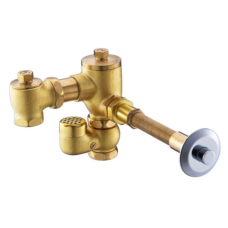 Concealed button style squat toilet flushing valve D-01